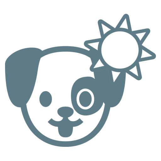 Pet Daycare Service
