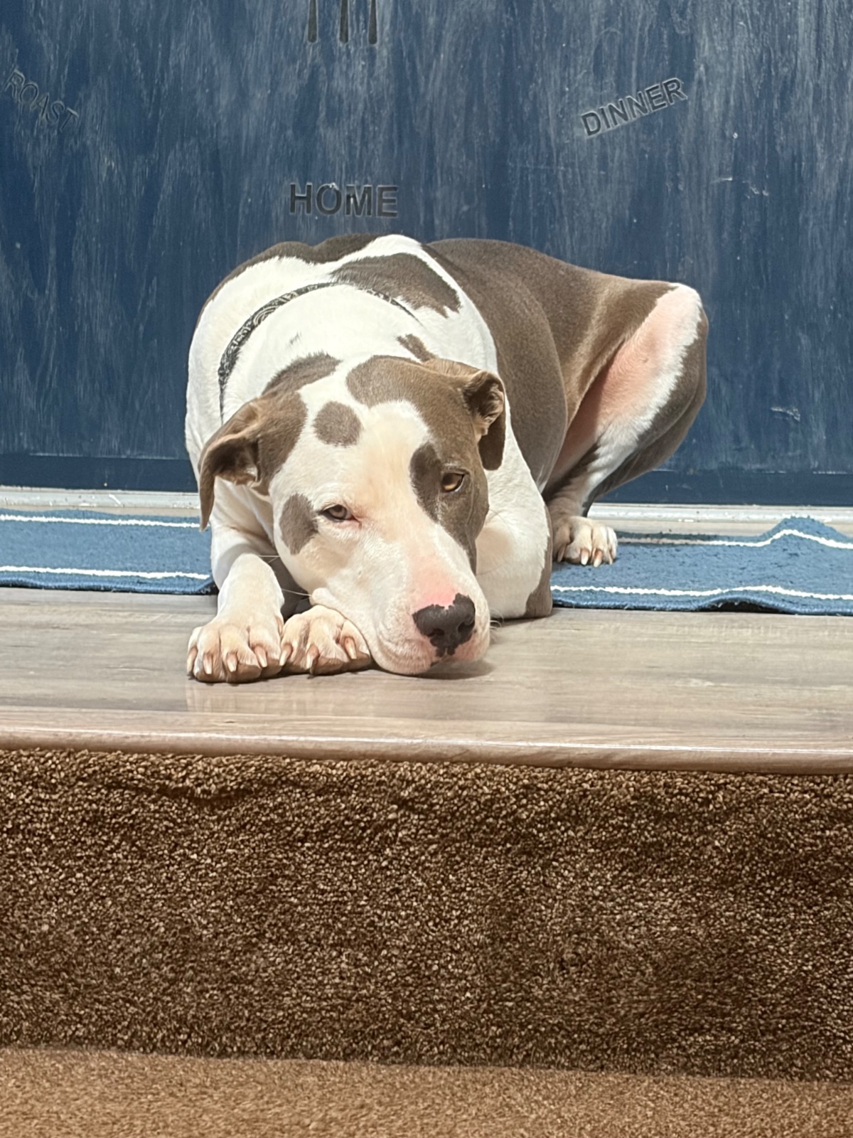 Walter