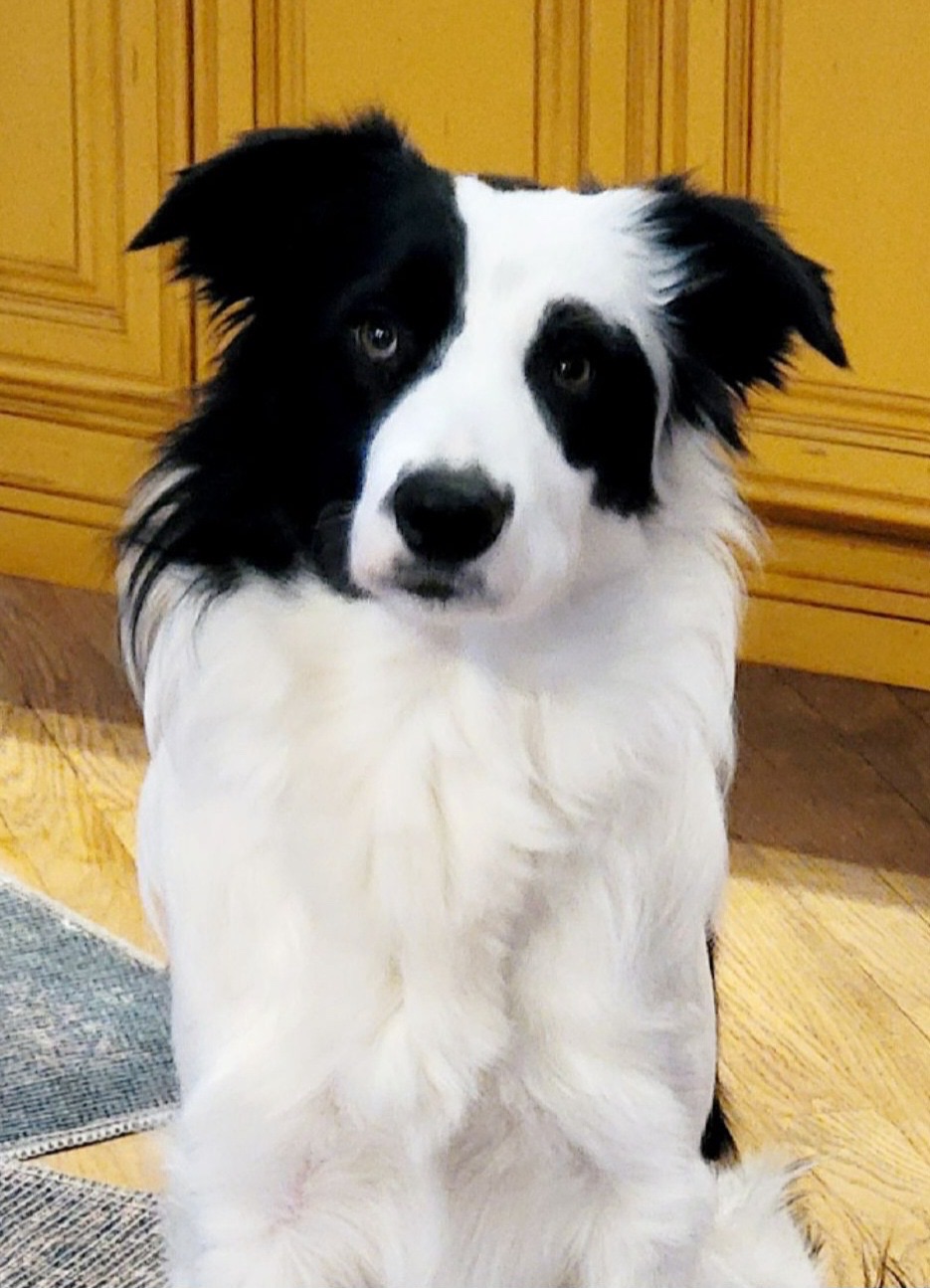 Tex