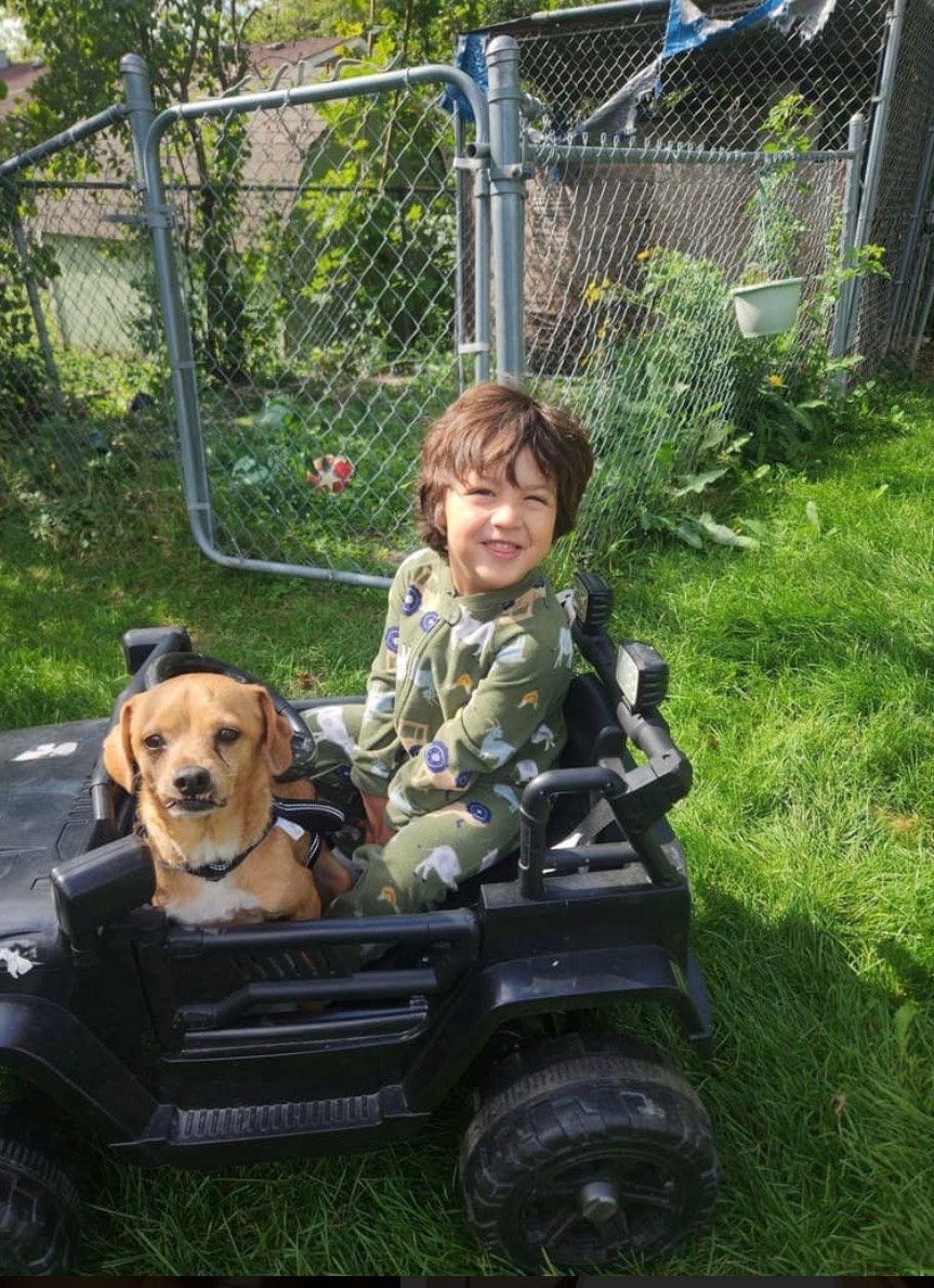 picture